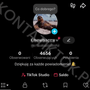 Konto TikTok 4500 obserwujących